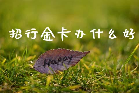 招行金卡办什么好_https://cj002.lansai.wang_理财问答_第1张