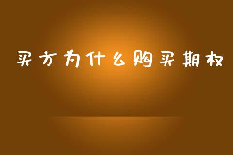 买方为什么购买期权_https://cj002.lansai.wang_会计问答_第1张