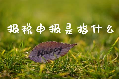 报税申报是指什么_https://cj002.lansai.wang_会计问答_第1张