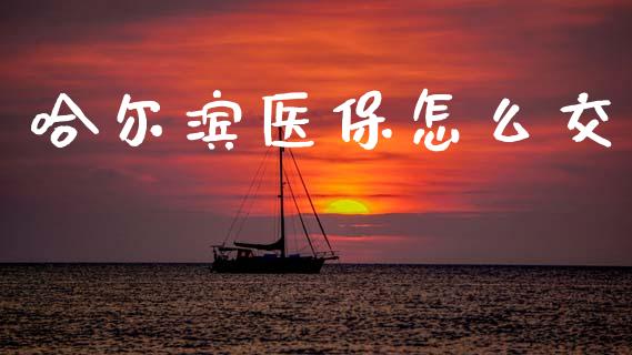 哈尔滨医保怎么交_https://cj002.lansai.wang_保险问答_第1张