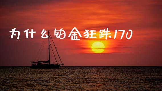 为什么铂金狂跌170_https://cj002.lansai.wang_财经问答_第1张
