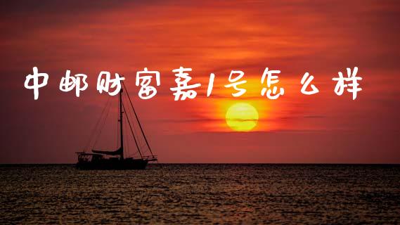 中邮财富嘉1号怎么样_https://cj002.lansai.wang_保险问答_第1张