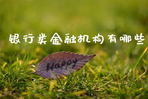 银行类金融机构有哪些_https://cj002.lansai.wang_理财问答_第1张