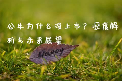 公牛为什么没上市？深度解析与未来展望_https://cj002.lansai.wang_会计问答_第1张
