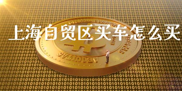 上海自贸区买车怎么买_https://cj002.lansai.wang_期货问答_第1张