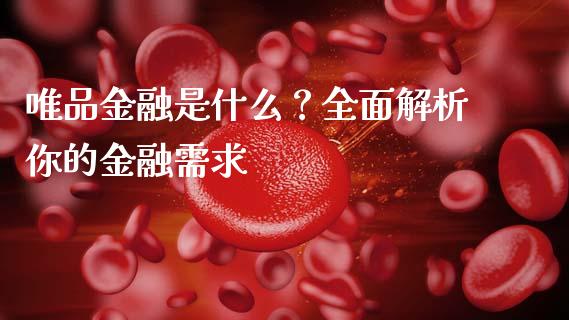 唯品金融是什么？全面解析你的金融需求_https://cj002.lansai.wang_保险问答_第1张