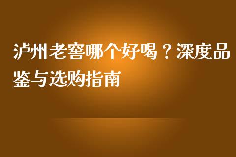 泸州老窖哪个好喝？深度品鉴与选购指南_https://cj002.lansai.wang_会计问答_第1张