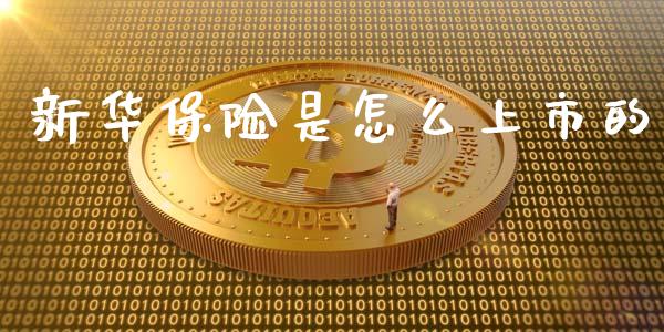 新华保险是怎么上市的_https://cj002.lansai.wang_保险问答_第1张