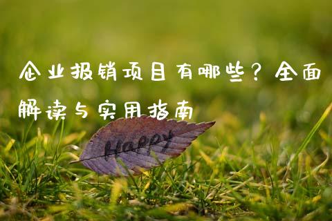 企业报销项目有哪些？全面解读与实用指南_https://cj002.lansai.wang_财经问答_第1张
