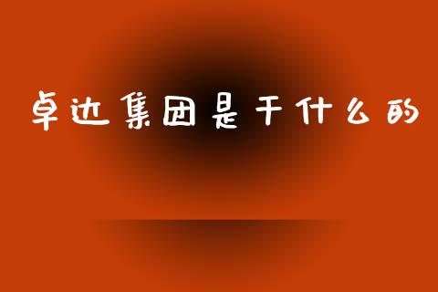卓达集团是干什么的_https://cj002.lansai.wang_会计问答_第1张