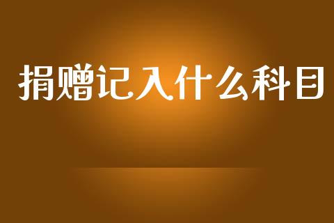捐赠记入什么科目_https://cj002.lansai.wang_会计问答_第1张