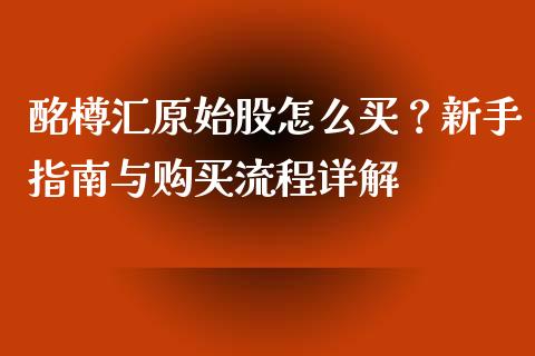 酩樽汇原始股怎么买？新手指南与购买流程详解_https://cj002.lansai.wang_财经百问_第1张