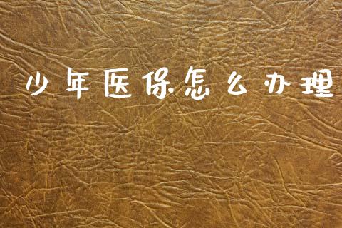 少年医保怎么办理_https://cj002.lansai.wang_保险问答_第1张