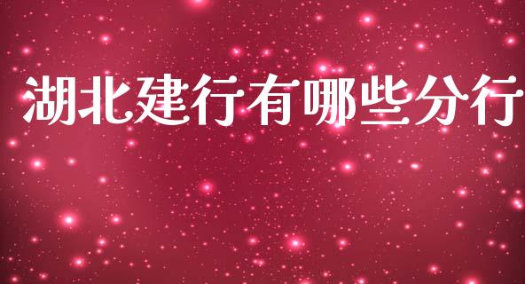 湖北建行有哪些分行_https://cj002.lansai.wang_理财问答_第1张