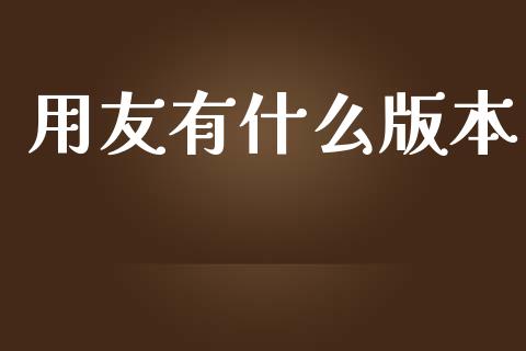用友有什么版本_https://cj002.lansai.wang_会计问答_第1张