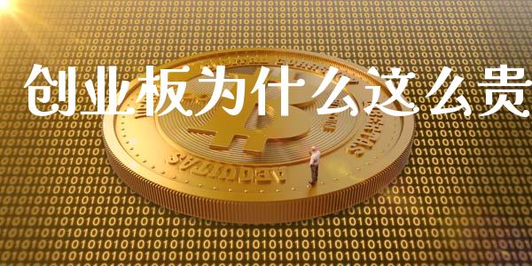创业板为什么这么贵_https://cj002.lansai.wang_财经百问_第1张