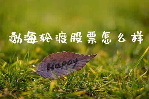 渤海轮渡股票怎么样_https://cj002.lansai.wang_财经百问_第1张