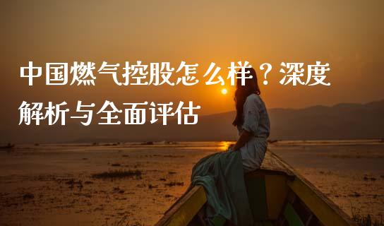 中国燃气控股怎么样？深度解析与全面评估_https://cj002.lansai.wang_金融问答_第1张
