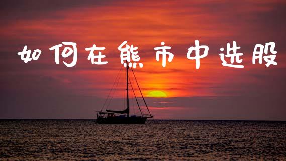 如何在熊市中选股_https://cj002.lansai.wang_财经问答_第1张
