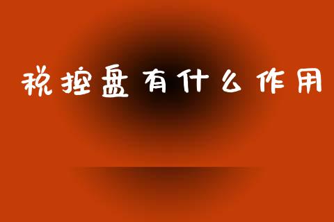 税控盘有什么作用_https://cj002.lansai.wang_会计问答_第1张