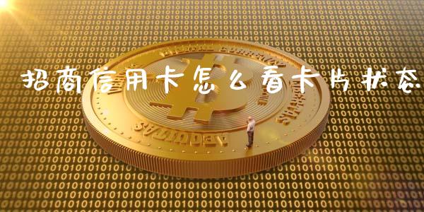招商信用卡怎么看卡片状态_https://cj002.lansai.wang_金融问答_第1张