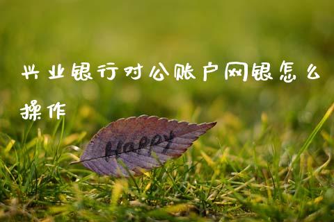 兴业银行对公账户网银怎么操作_https://cj002.lansai.wang_金融问答_第1张