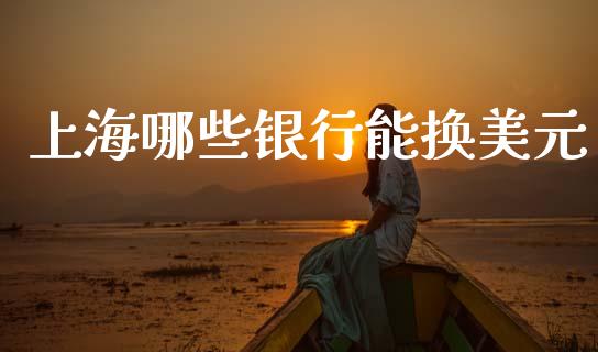 上海哪些银行能换美元_https://cj002.lansai.wang_股市问答_第1张
