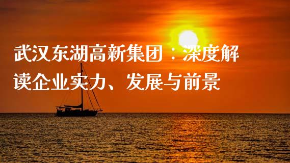 武汉东湖高新集团：深度解读企业实力、发展与前景_https://cj002.lansai.wang_股市问答_第1张