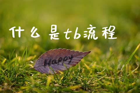什么是tb流程_股市问答_第1张_财经百问网 什么是tb流程_https://cj002.lansai.wang_股市问答_第1张