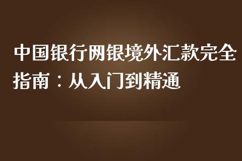 中国银行网银境外汇款完全指南：从入门到精通_https://cj002.lansai.wang_会计问答_第1张