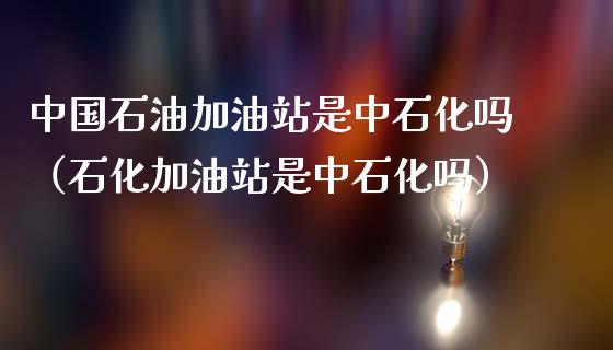 中国石油加油站是中石化吗(石化加油站是中石化吗)_金融问答_第1张_财经百问网 中国石油加油站是中石化吗(石化加油站是中石化吗)_https://cj002.lansai.wang_金融问答_第1张