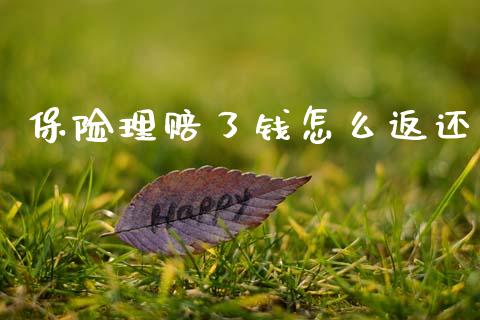 保险理赔了钱怎么返还_https://cj002.lansai.wang_保险问答_第1张