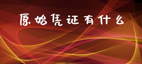 原始凭证有什么_https://cj002.lansai.wang_会计问答_第1张