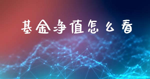 基金净值怎么看_https://cj002.lansai.wang_财经百问_第1张