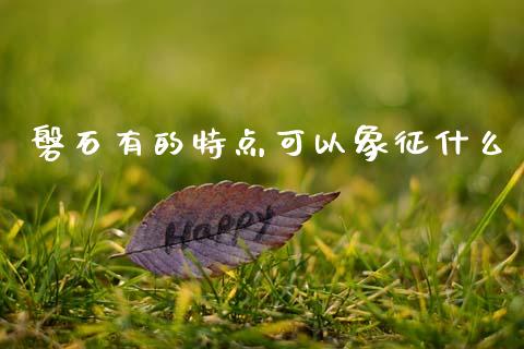 磐石有的特点可以象征什么_https://cj002.lansai.wang_理财问答_第1张