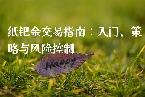 纸钯金交易指南:入门、策略与风险控制_财经问答_第1张_财经百问网 纸钯金交易指南:入门、策略与风险控制_https://cj002.lansai.wang_财经问答_第1张