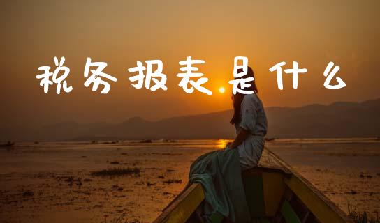 税务报表是什么_https://cj002.lansai.wang_会计问答_第1张