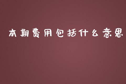 本期费用包括什么意思_https://cj002.lansai.wang_会计问答_第1张