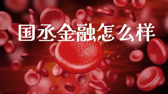 国丞金融怎么样_https://cj002.lansai.wang_理财问答_第1张