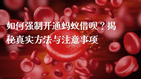 如何强制开通蚂蚁借呗？揭秘真实方法与注意事项_https://cj002.lansai.wang_金融问答_第1张