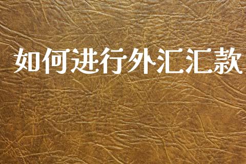 如何进行外汇汇款_https://cj002.lansai.wang_财经问答_第1张
