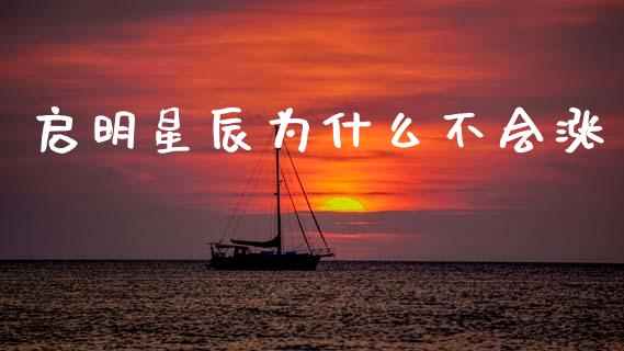 启明星辰为什么不会涨_https://cj002.lansai.wang_金融问答_第1张