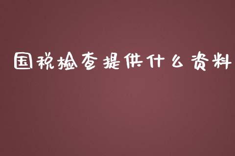 国税检查提供什么资料_https://cj002.lansai.wang_会计问答_第1张