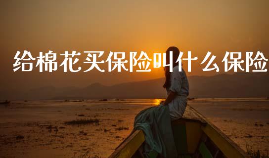 给棉花买保险叫什么保险_会计问答_第1张_财经百问网 给棉花买保险叫什么保险_https://cj002.lansai.wang_会计问答_第1张