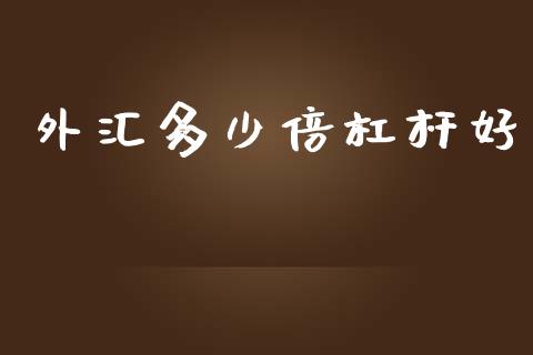 外汇多少倍杠杆好_https://cj002.lansai.wang_财经问答_第1张