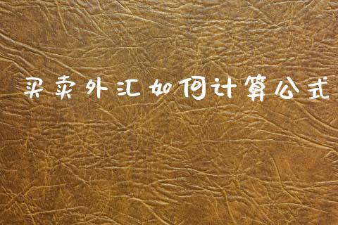 买卖外汇如何计算公式_https://cj002.lansai.wang_财经问答_第1张