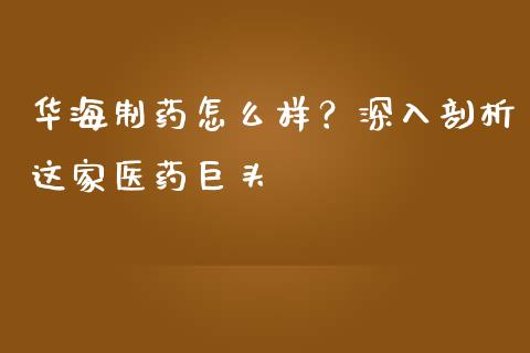 华海制药怎么样？深入剖析这家医药巨头_https://cj002.lansai.wang_财经问答_第1张