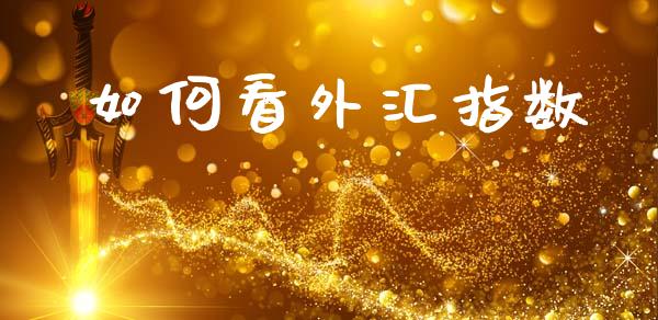 如何看外汇指数_https://cj002.lansai.wang_财经问答_第1张