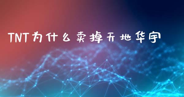 TNT为什么卖掉天地华宇_https://cj002.lansai.wang_理财问答_第1张