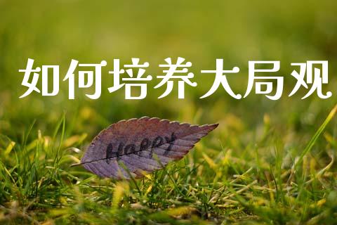 如何培养大局观_股市问答_第1张_财经百问网 如何培养大局观_https://cj002.lansai.wang_股市问答_第1张